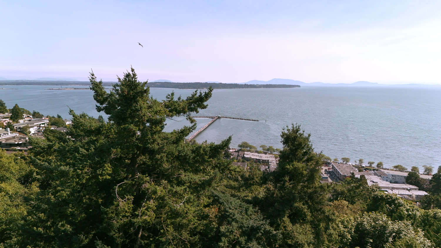 Looking Down to the Pier