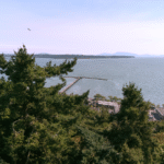 Looking Down to the Pier